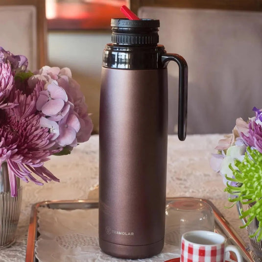 Termolar R-Evolution Stainless Steel Thermo Bottle, 33.81 fl oz, Tan