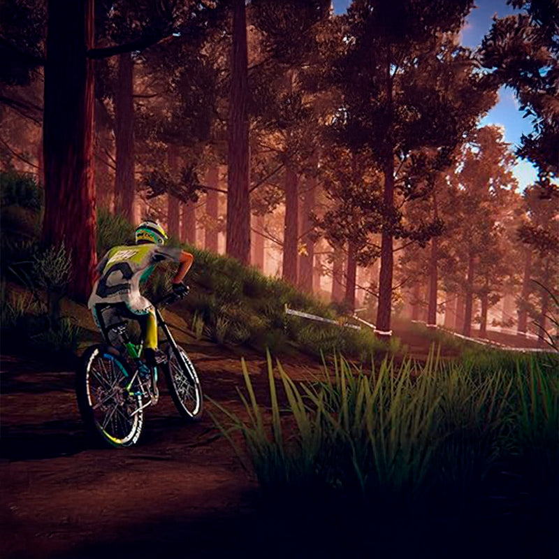 Load image into Gallery viewer, Descenders - PS 4
