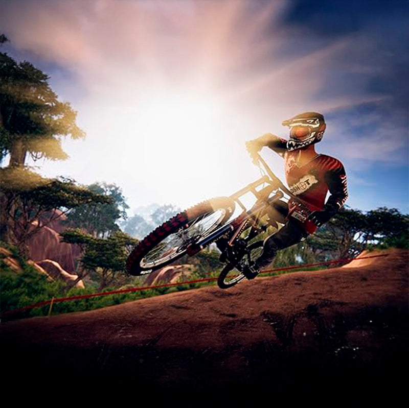 Load image into Gallery viewer, Descenders - PS 4
